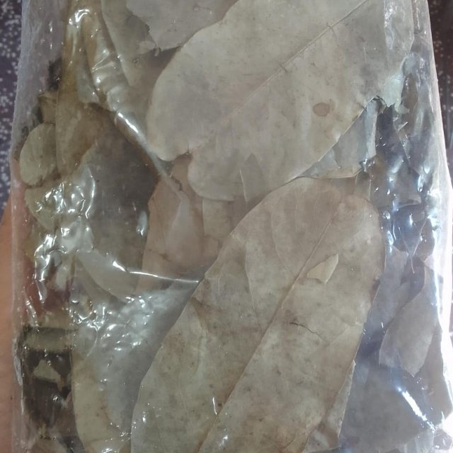 HOJAS DE GRAVIOLA O GUANABANA