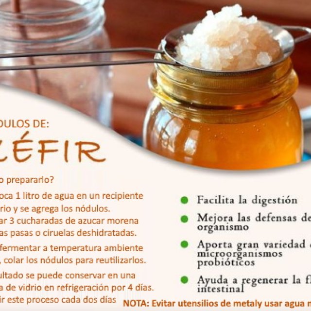NODULOS DE KEFIR